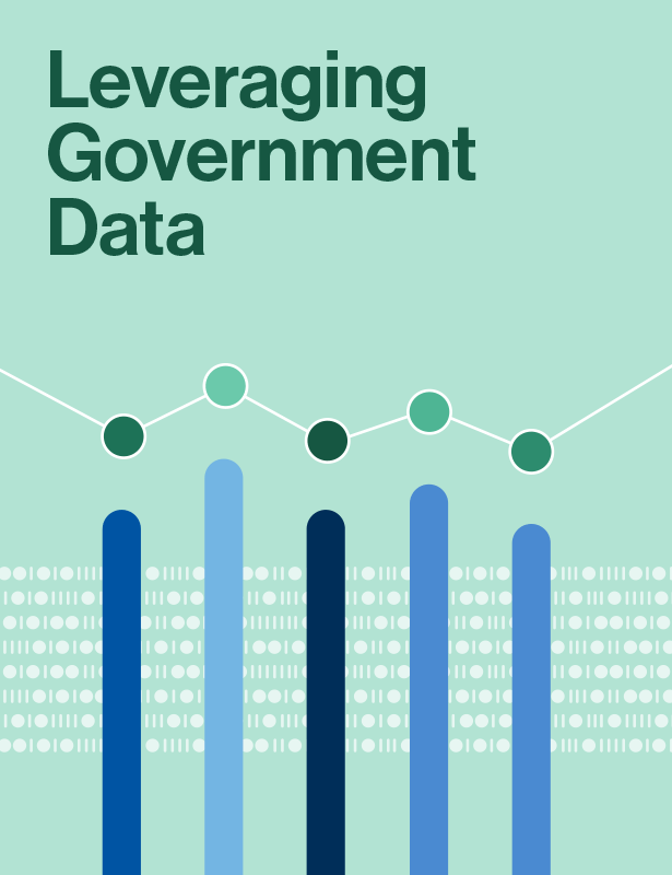 Report cover, "Leveraging Government Data," with a line graph over bar chart icons on a binary code background.