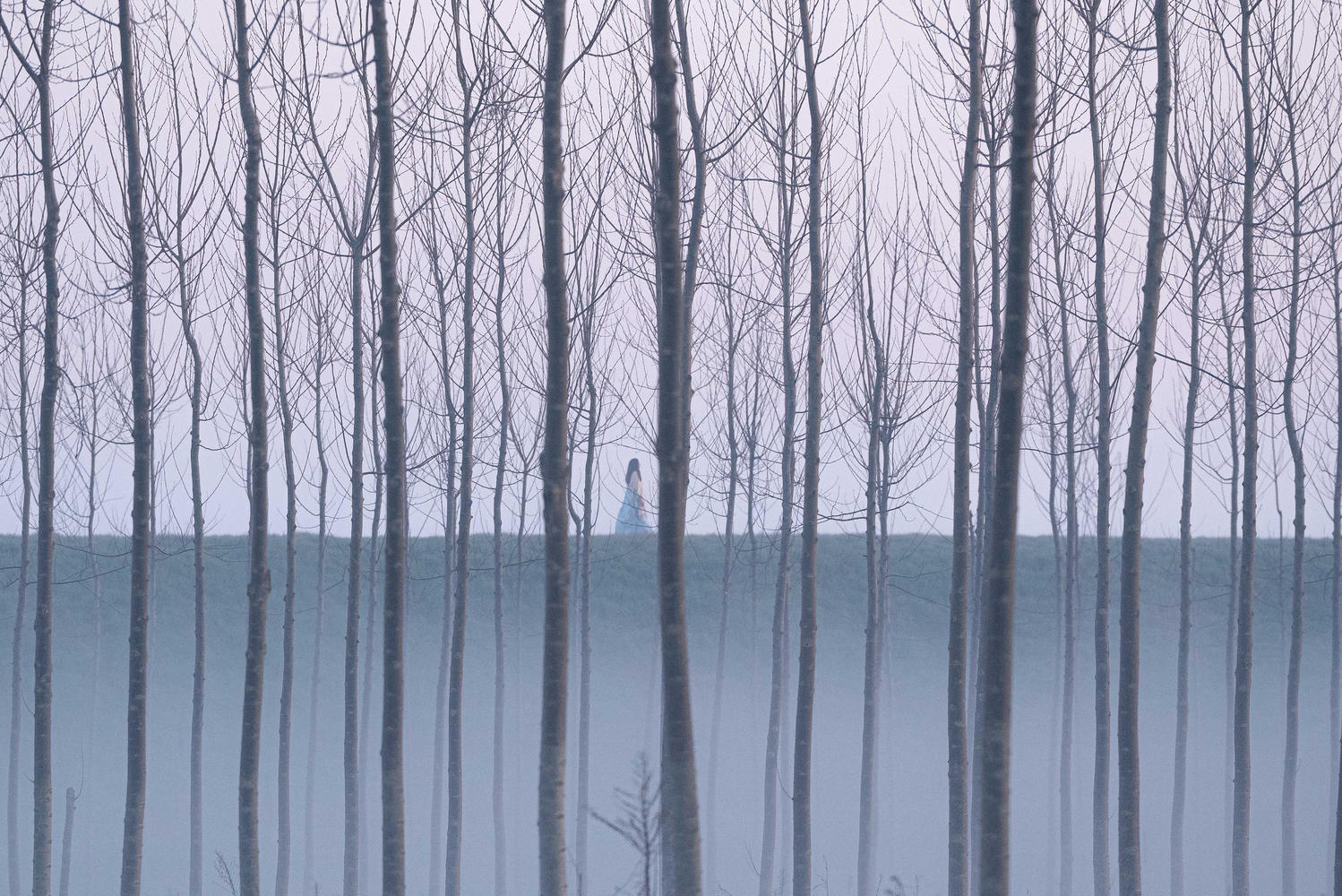 La Grazia al cinema di Paolo Sorrentino