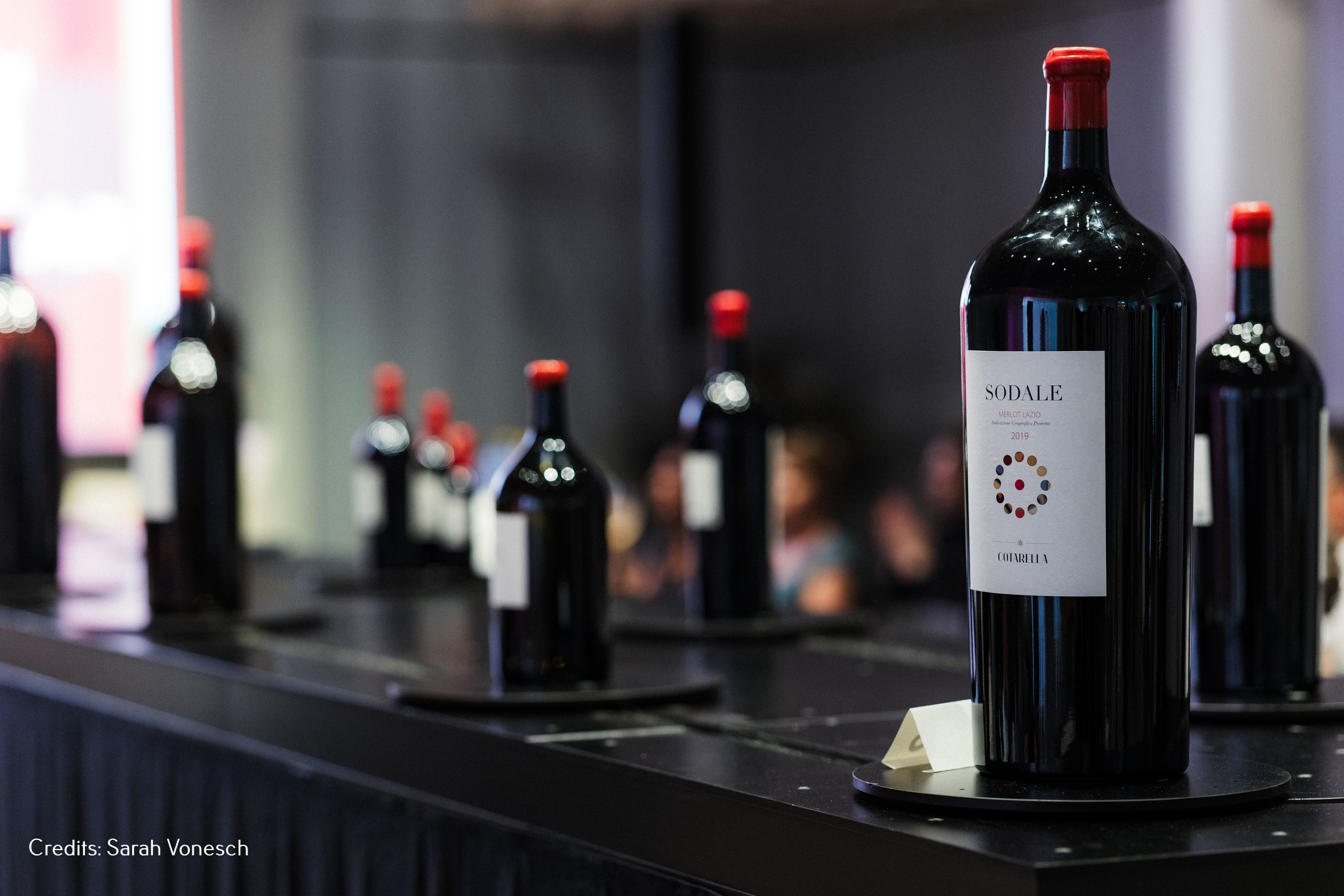 Vini per tutti, the Bindella event