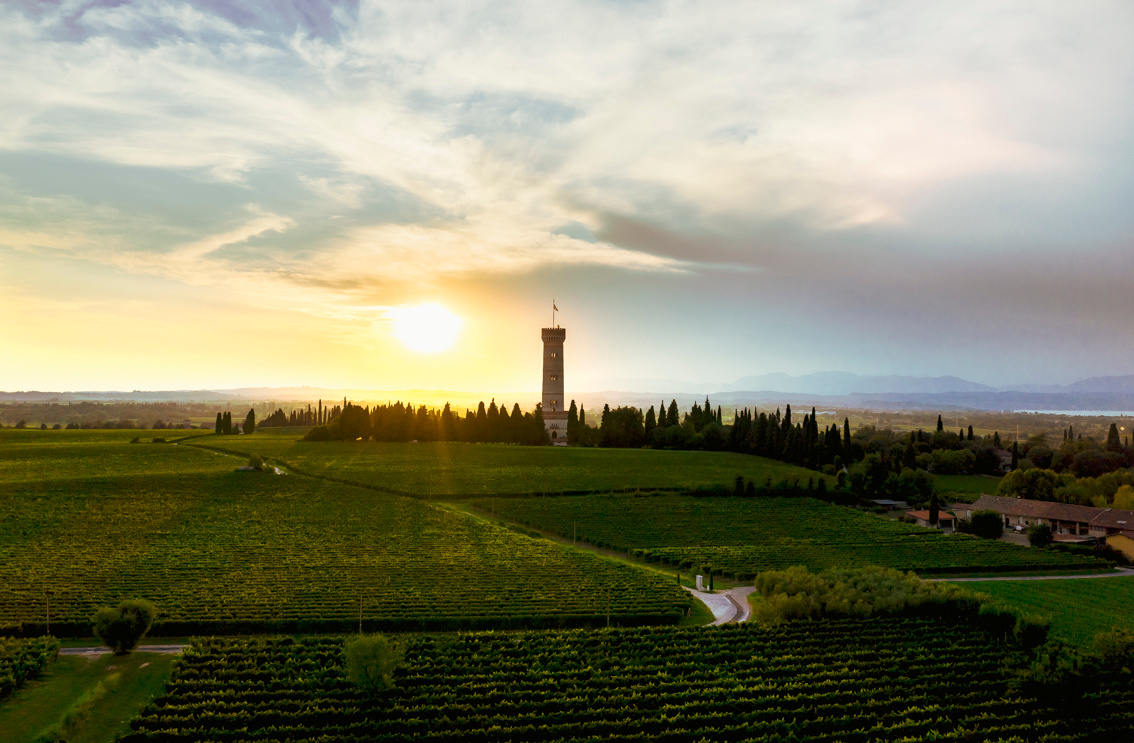 Lugana DOC on tour! Degustazione di vino il 20 giugno a Zurigo