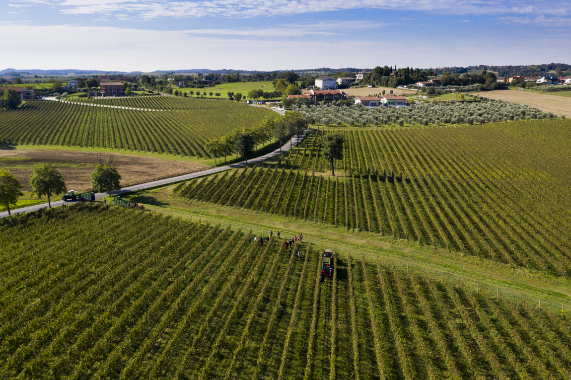 Lugana DOC on tour! Wine tasting on 20 June in Zurich