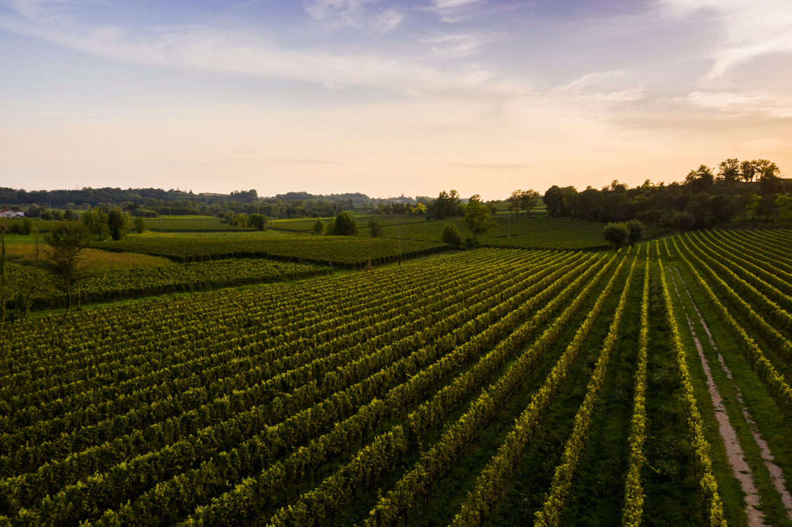 Lugana DOC on tour! Degustazione di vino il 20 giugno a Zurigo