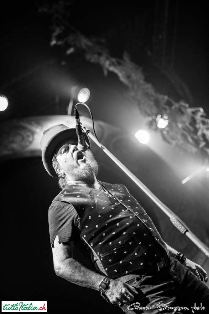 Zucchero Live Zurigo Tuttoitalia