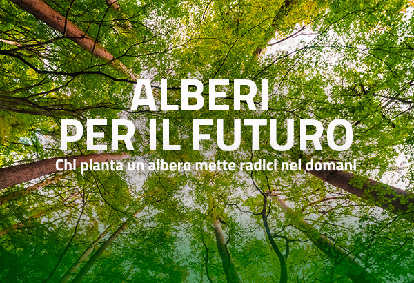 Des arbres pour l'avenir : plantez un arbre le 21 novembre