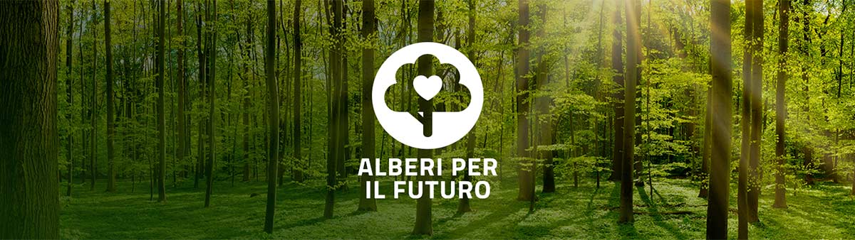 Trees for the Future: plant a tree on 21 November