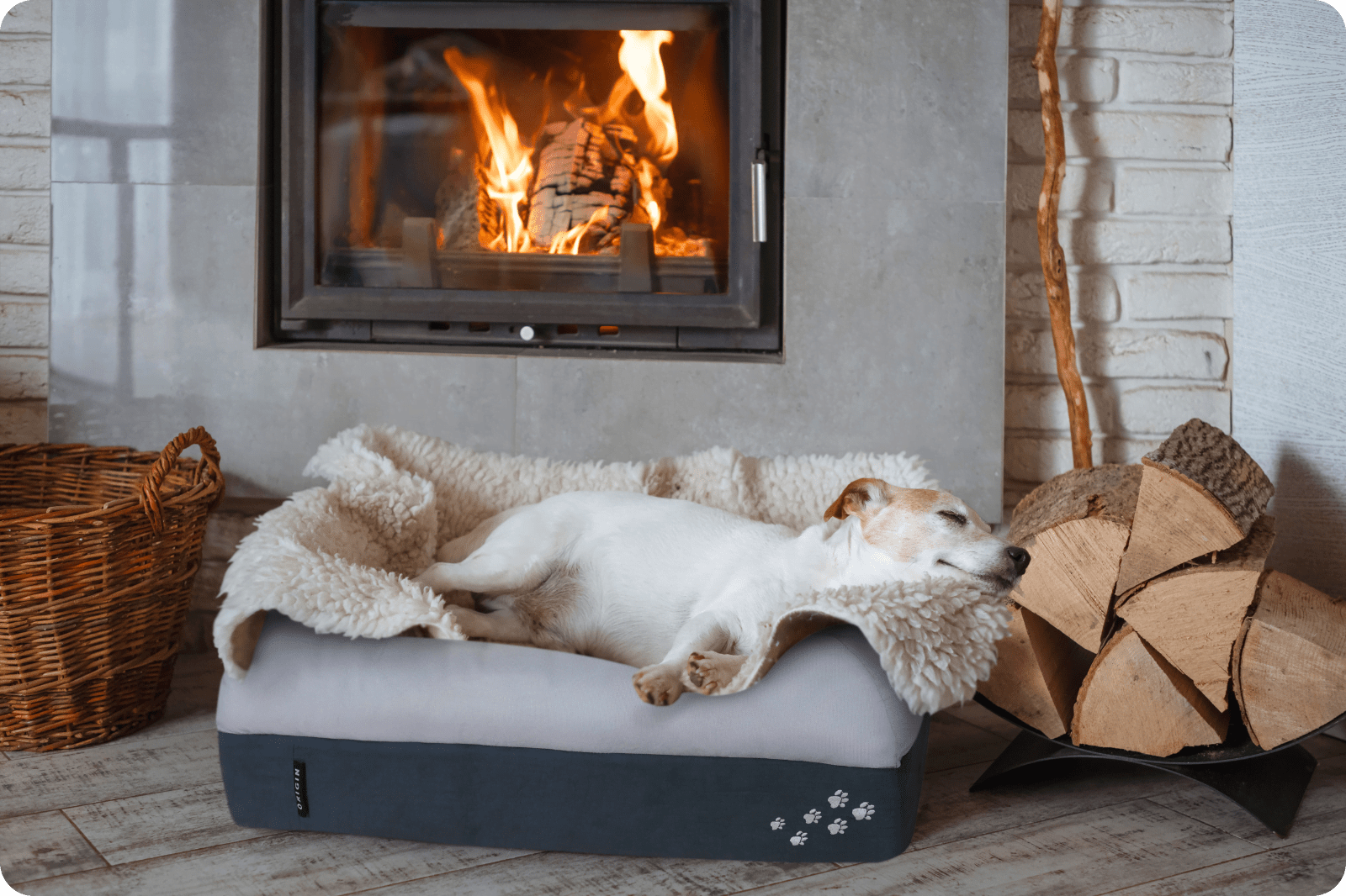 Origin CosyPaws Dog & Cat Bed