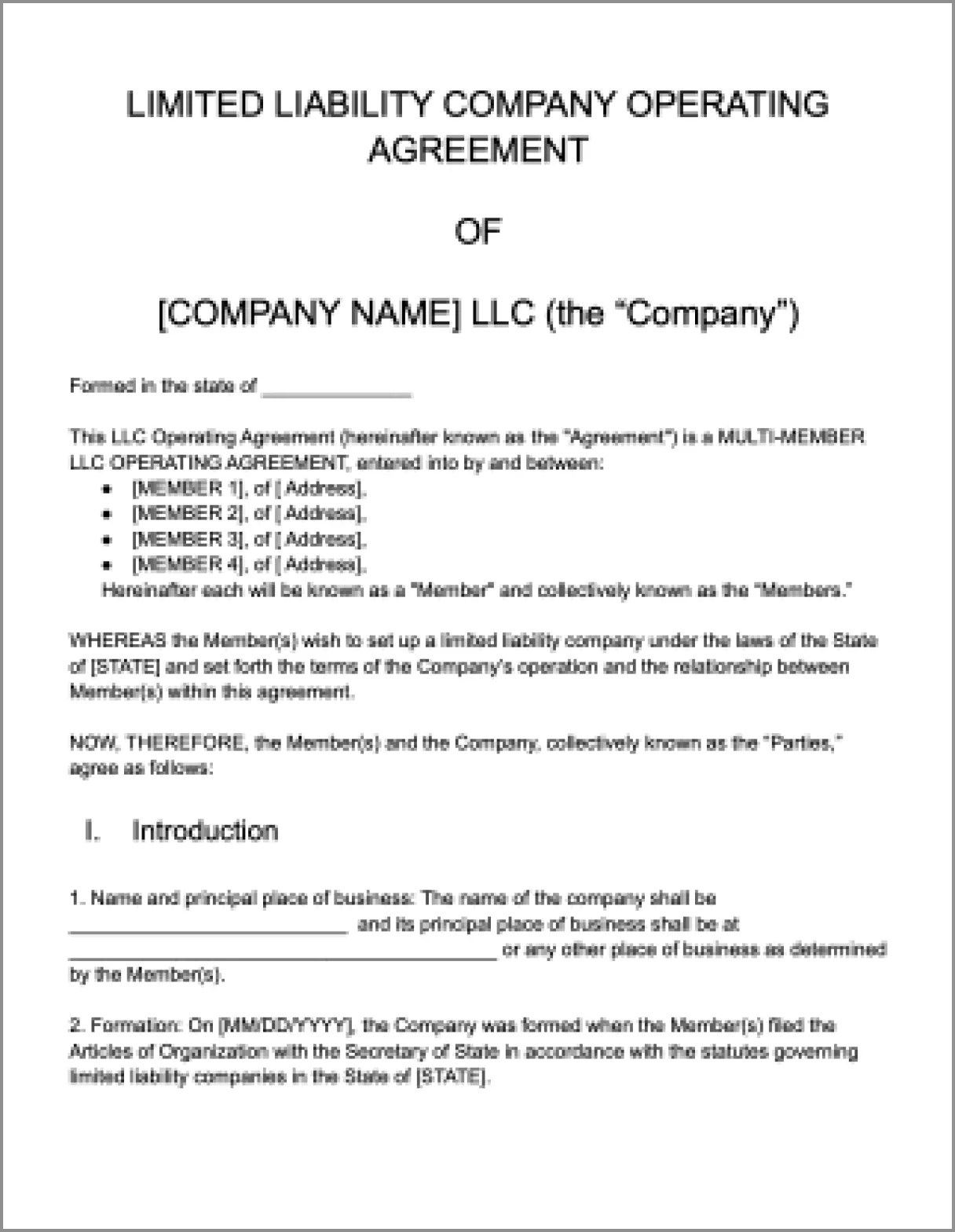  LLC operating agreement template