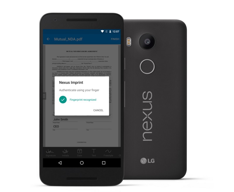 nexus