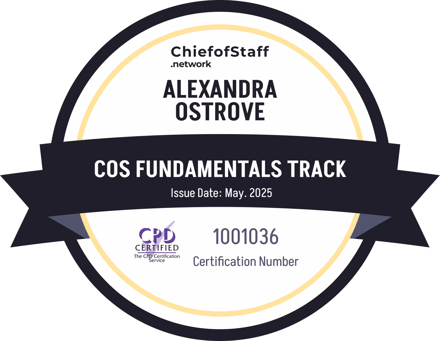 Chief of Staff Fundamentals Track (Alexandra Ostrove)