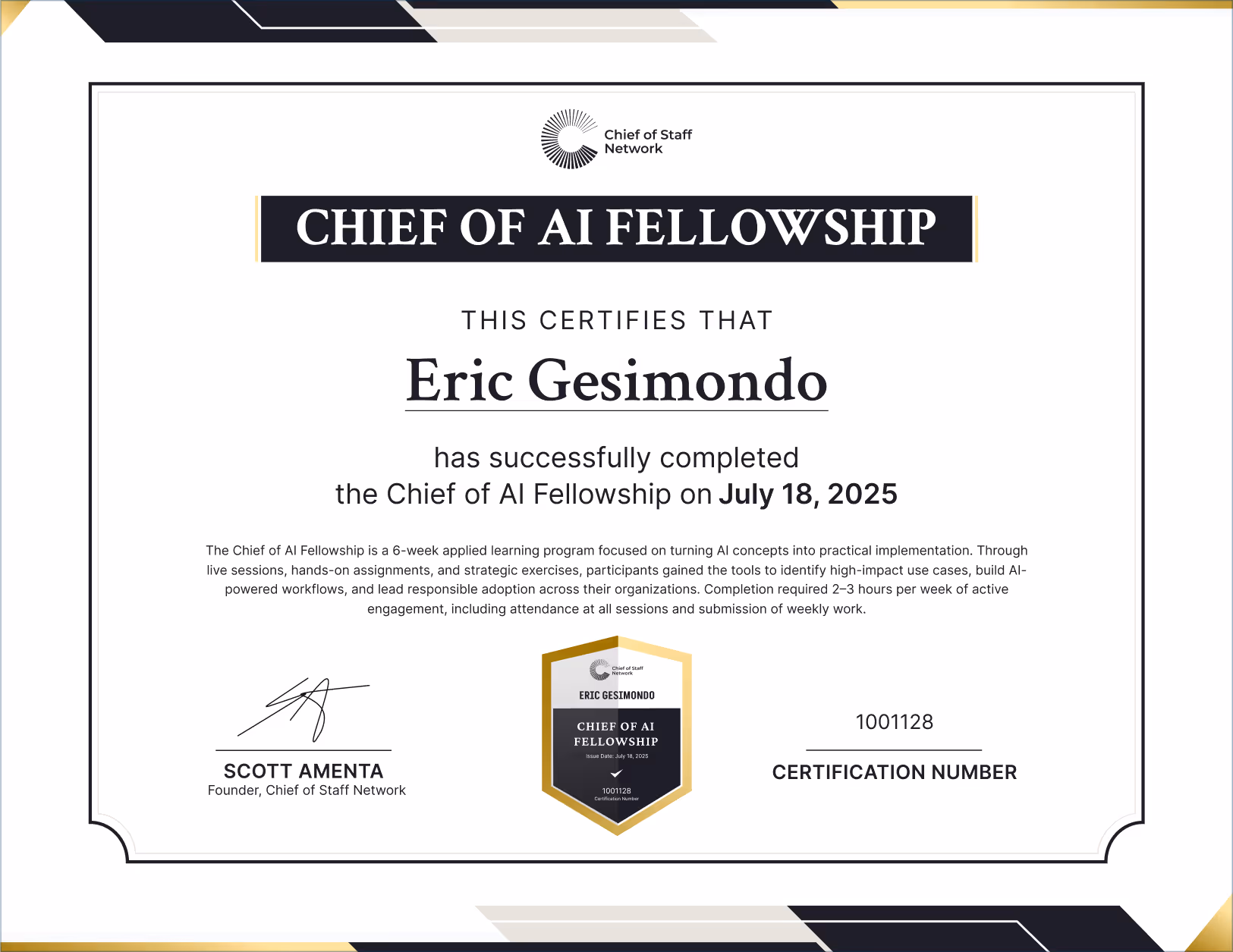 Chief of AI Fellowship (Eric Gesimondo)