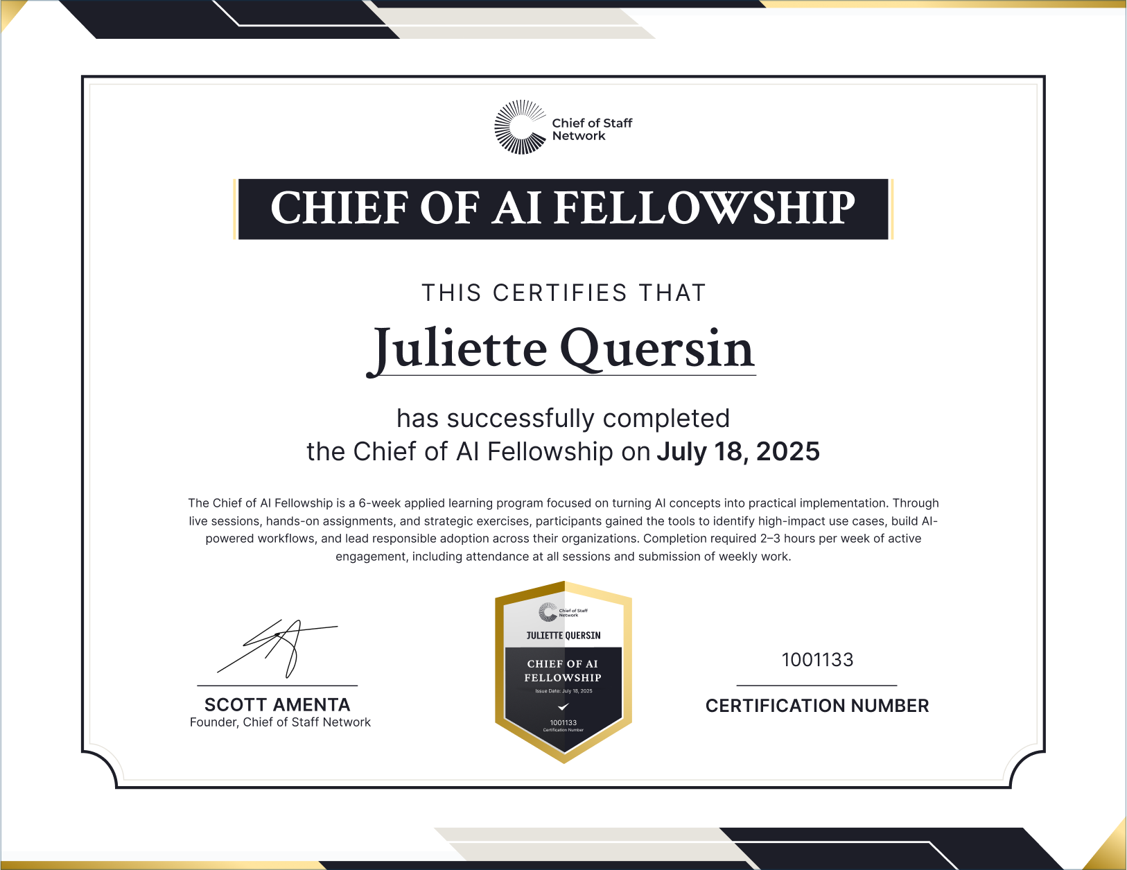 Chief of AI Fellowship (Juliette Quersin)