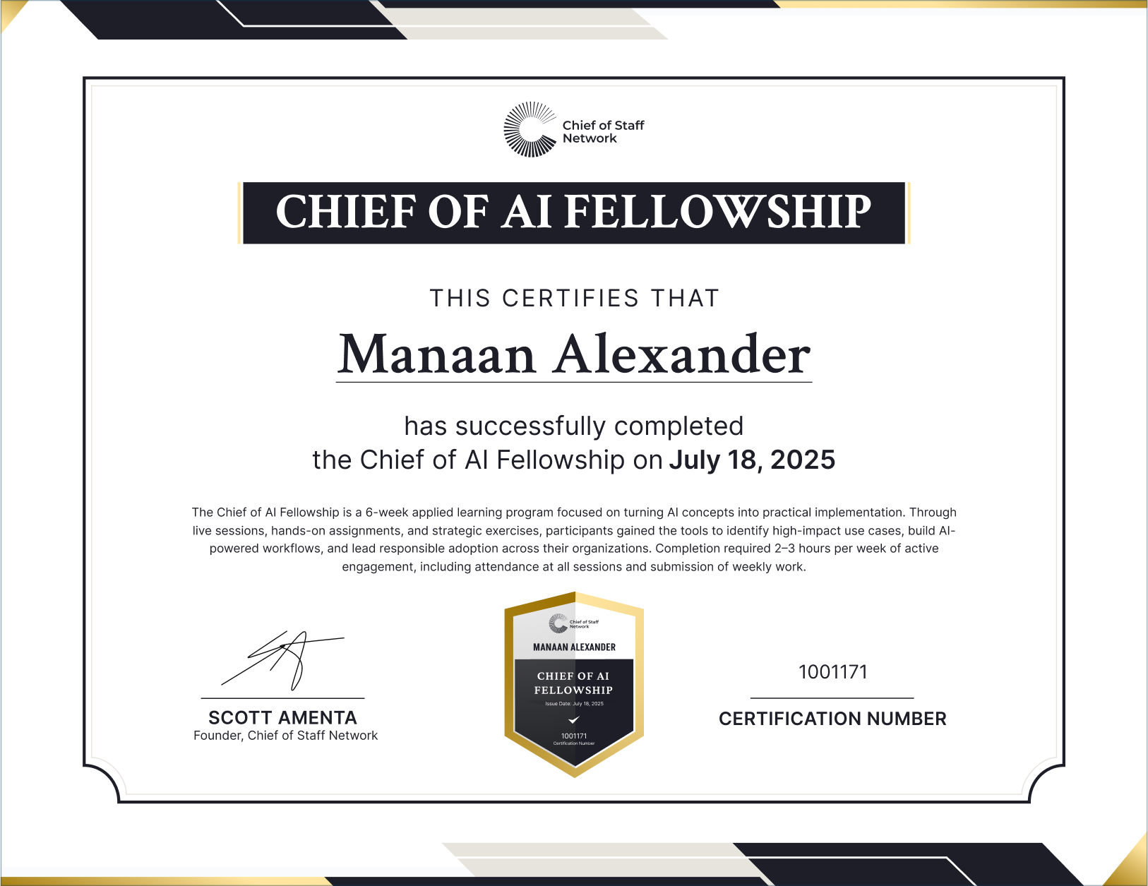 Chief of AI Fellowship (Manaan Alexander)