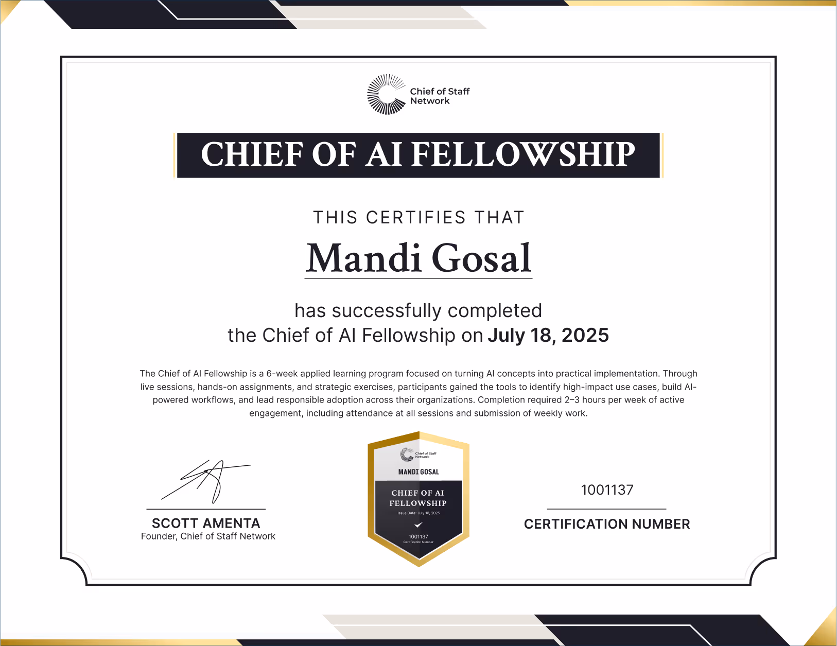 Chief of AI Fellowship (Mandi Gosal)