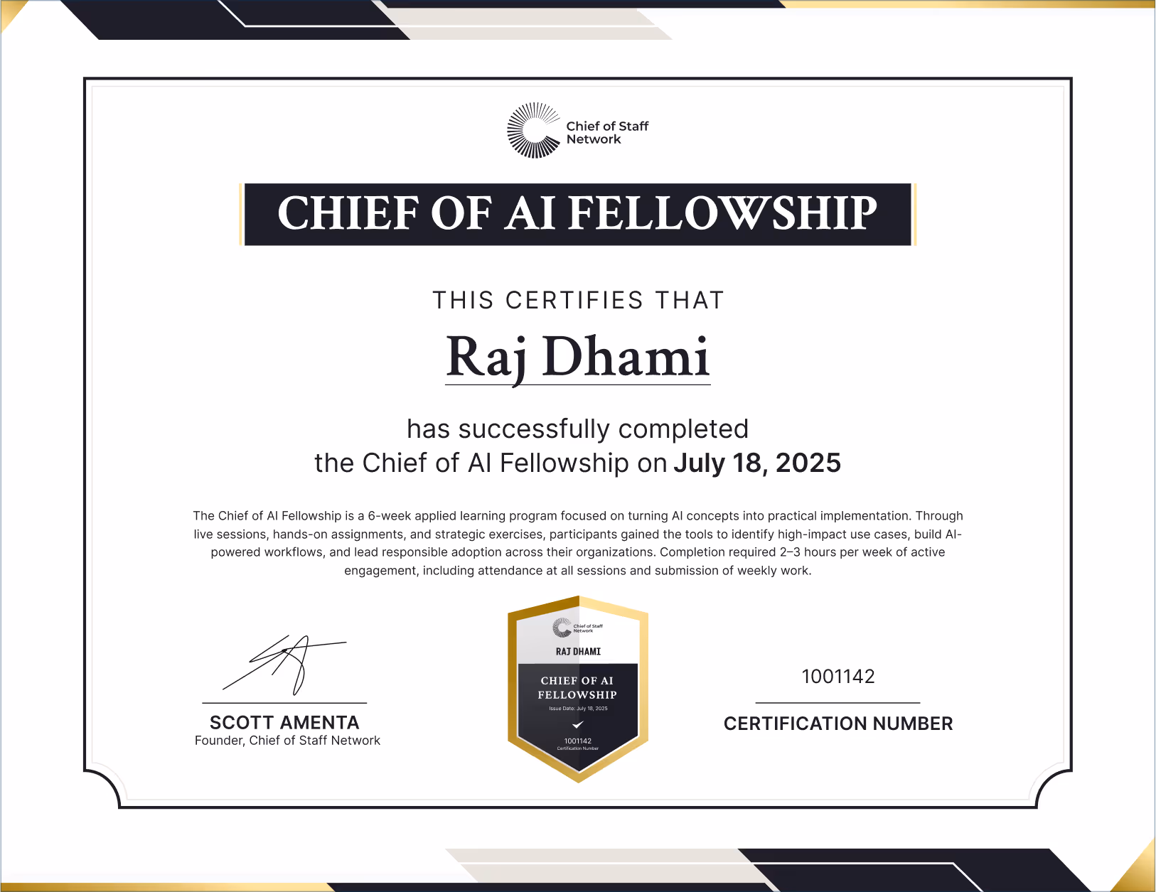 Chief of AI Fellowship (Raj Dhami)
