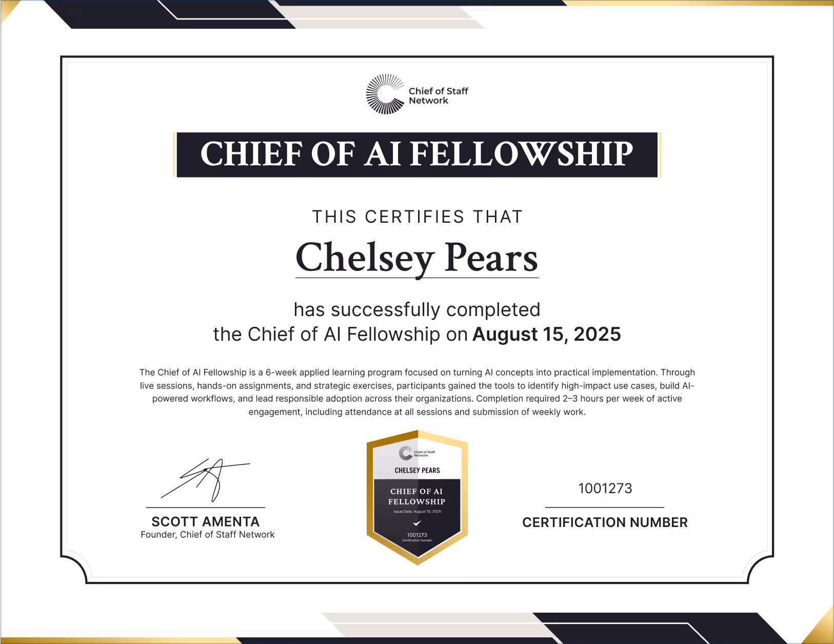 Chief of AI Fellowship (Chelsey Pears)