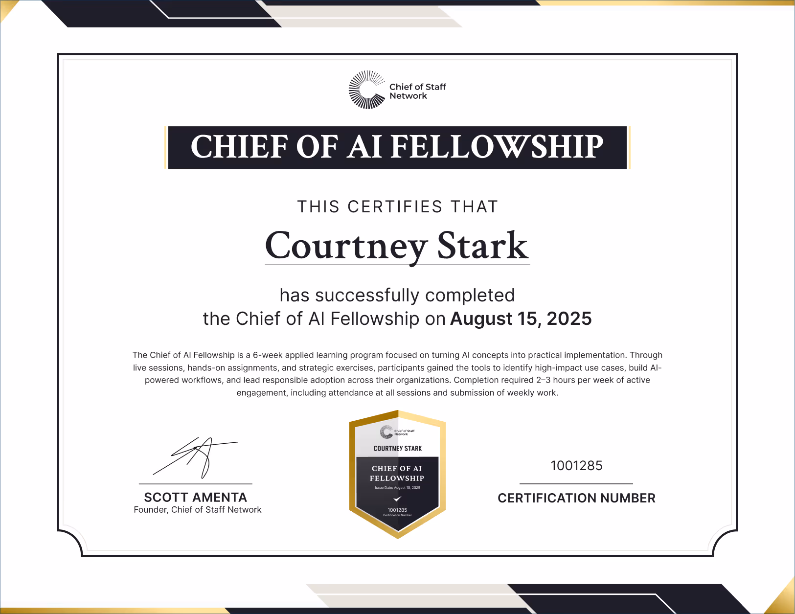 Chief of AI Fellowship (Courtney Stark)
