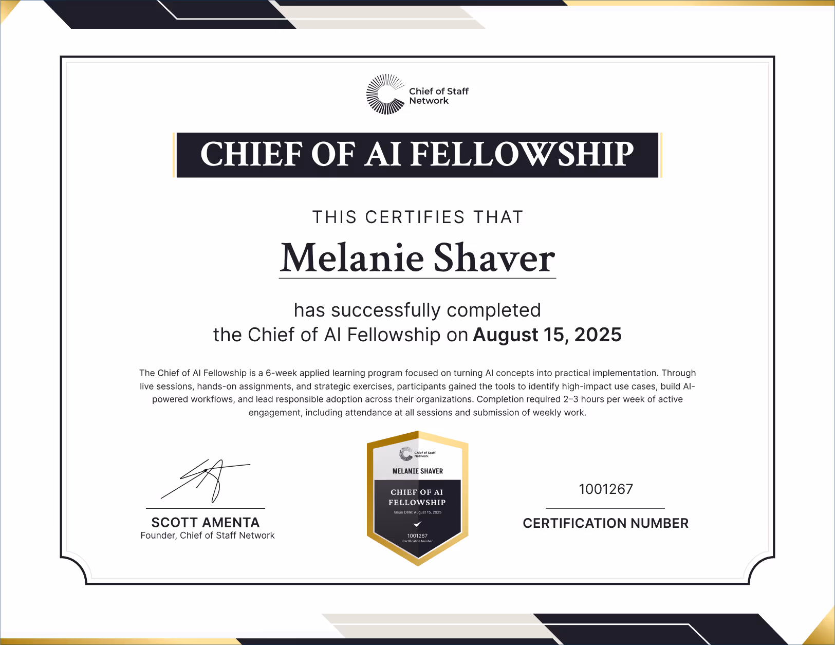 Chief of AI Fellowship (Melanie Shaver)