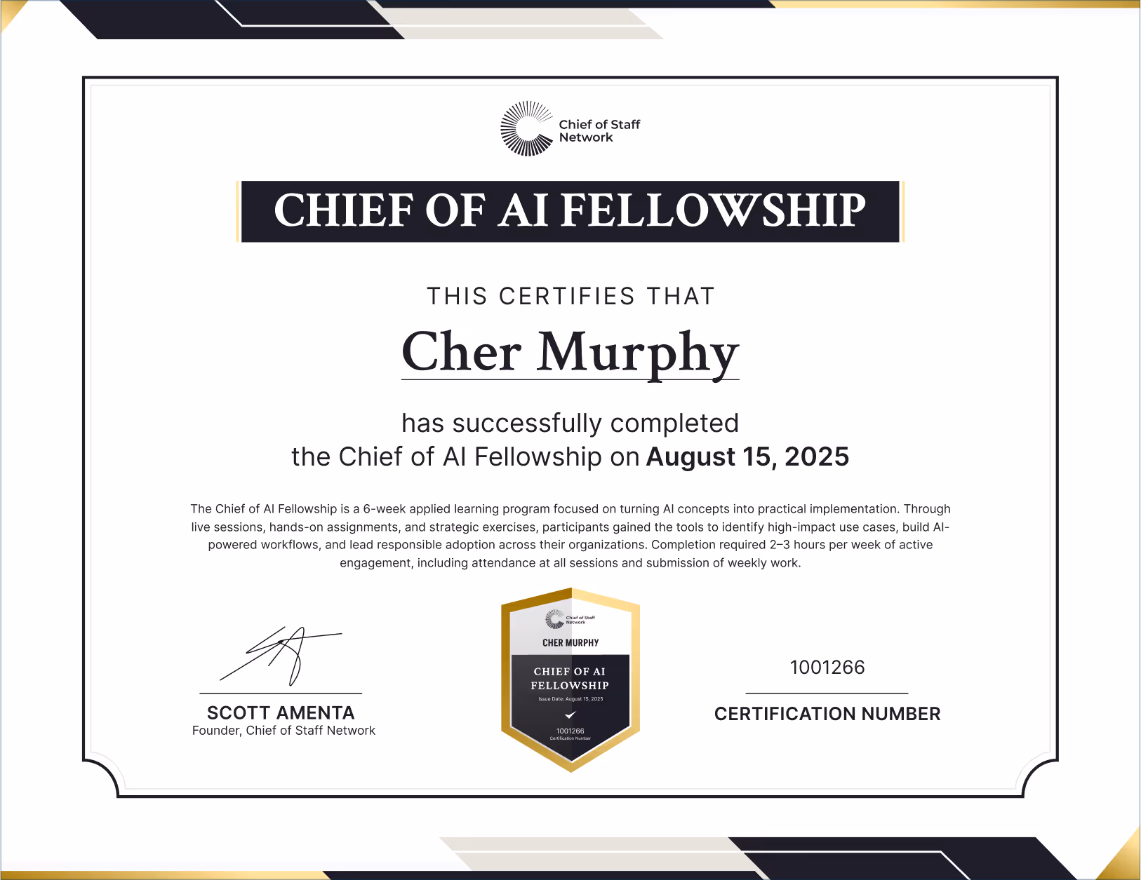 Chief of AI Fellowship (Cher Murphy)