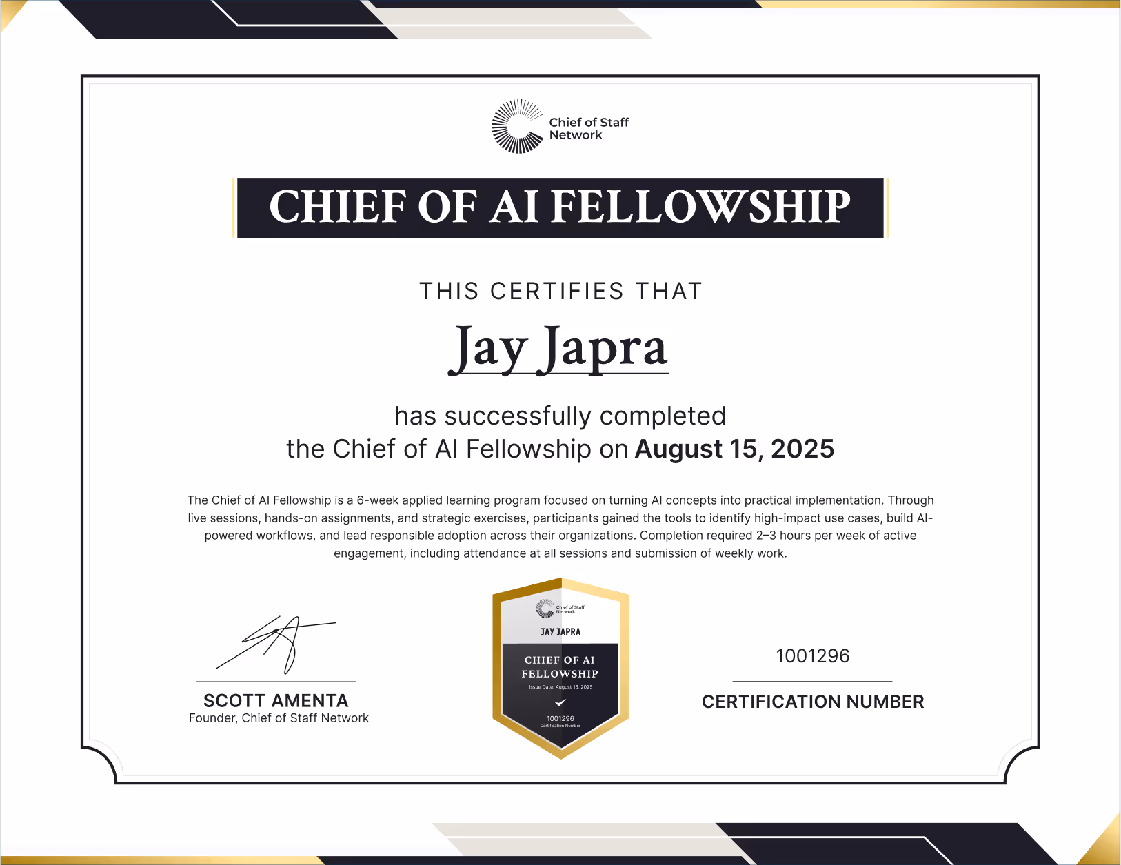 Chief of AI Fellowship (Jay Japra)