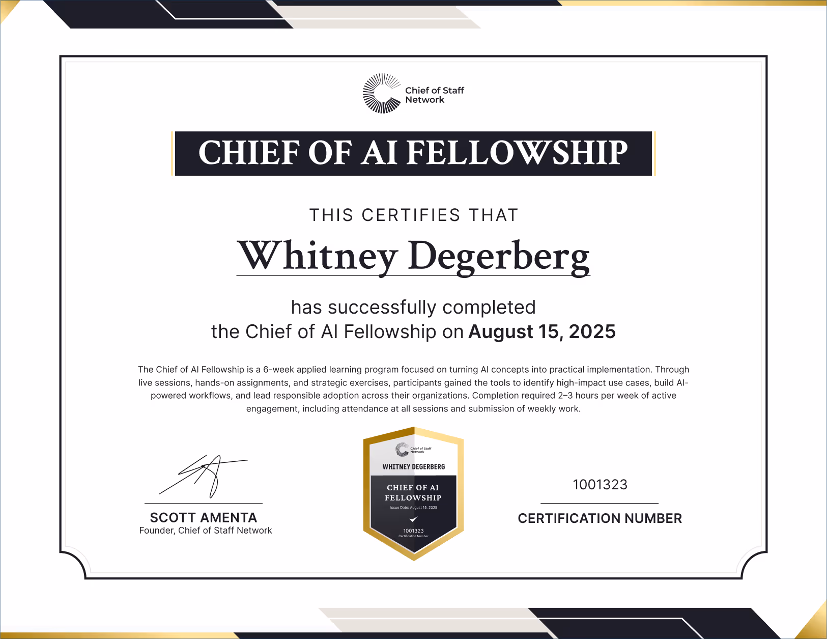 Chief of AI Fellowship (Whitney Degerberg)