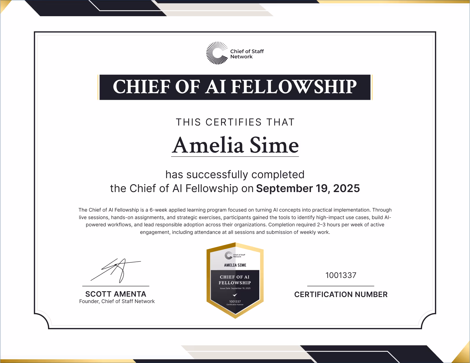 Chief of AI Fellowship (Amelia Sime)