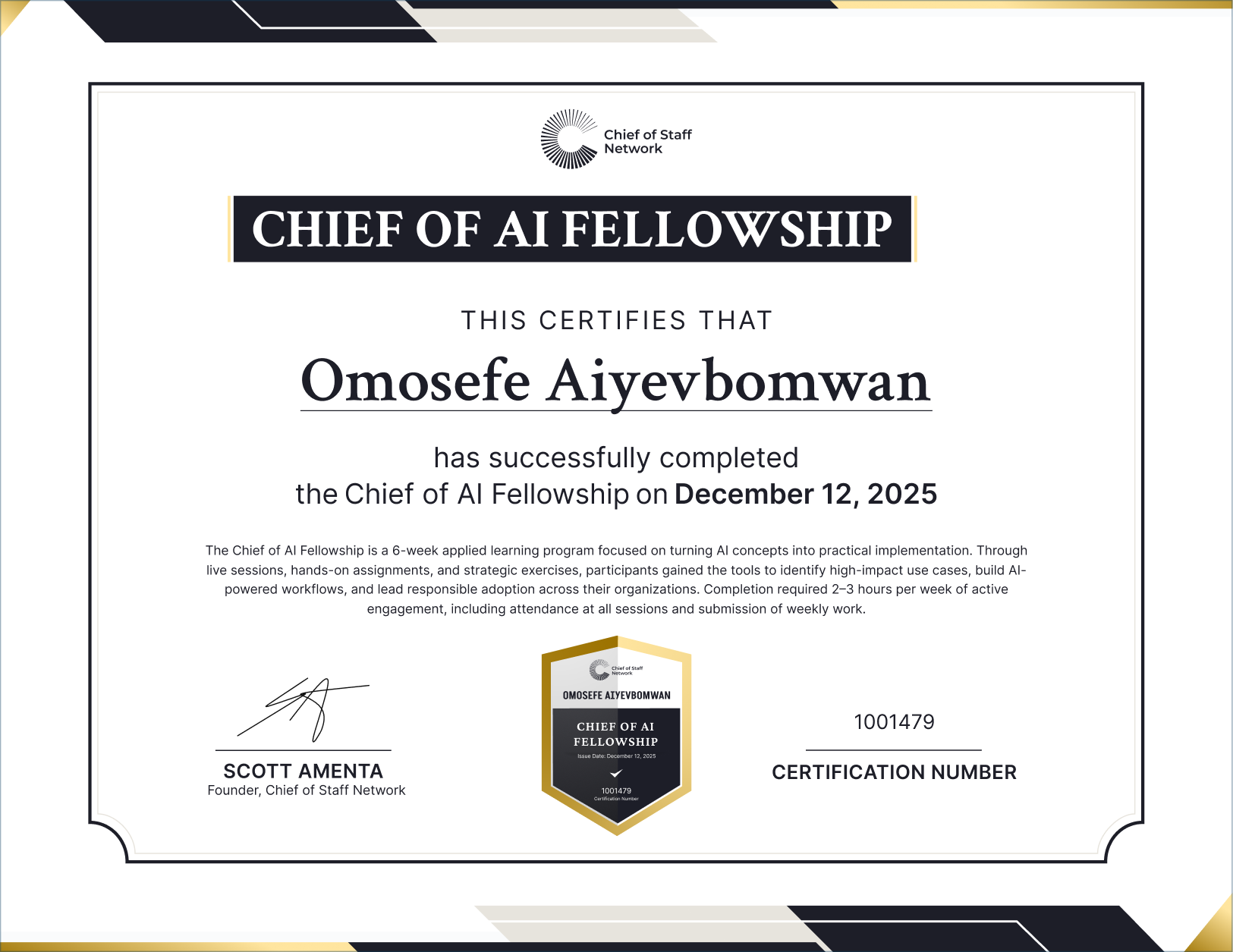 Chief of AI Fellowship (Omosefe Aiyevbomwan)