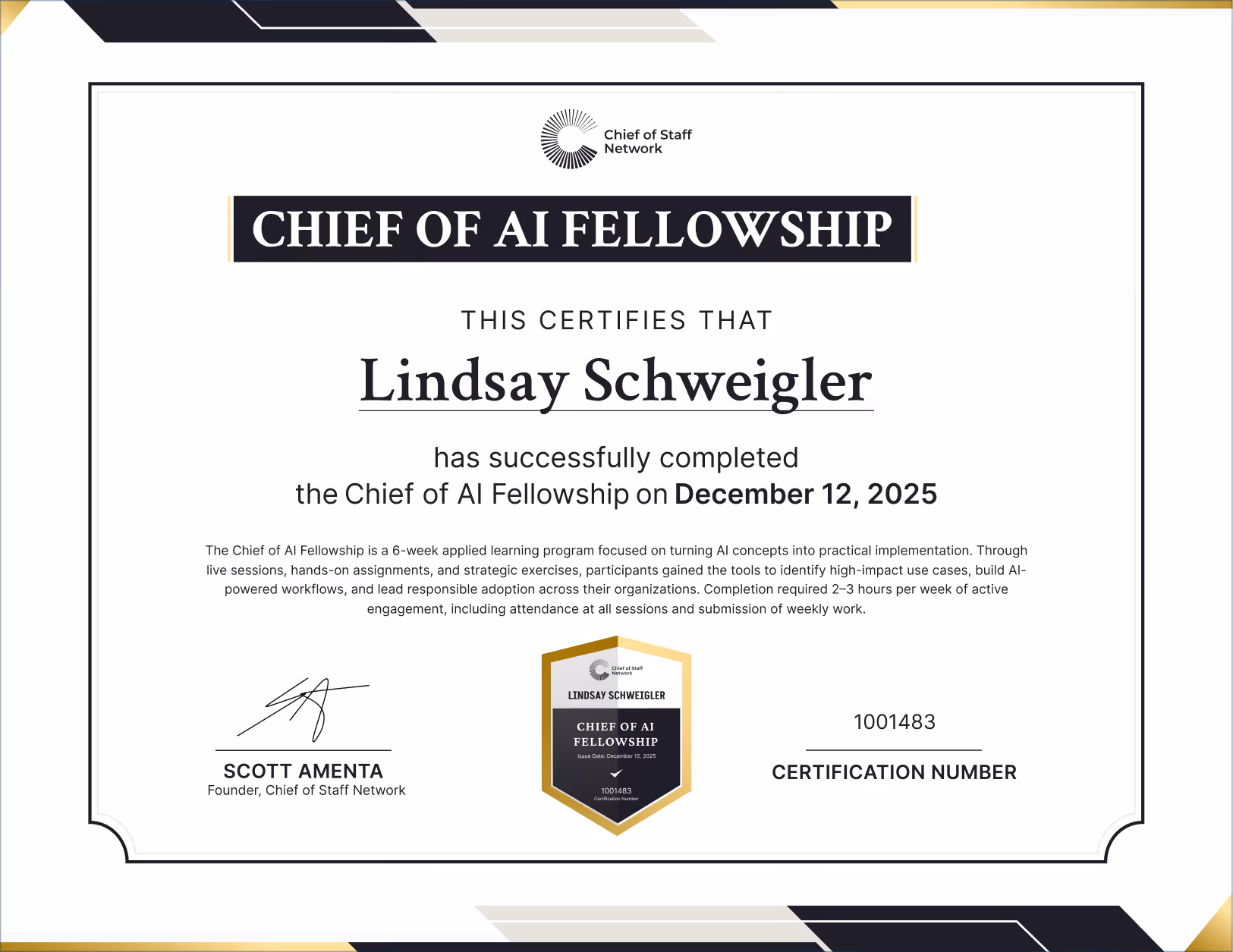 Chief of AI Fellowship (Lindsay Schweigler)