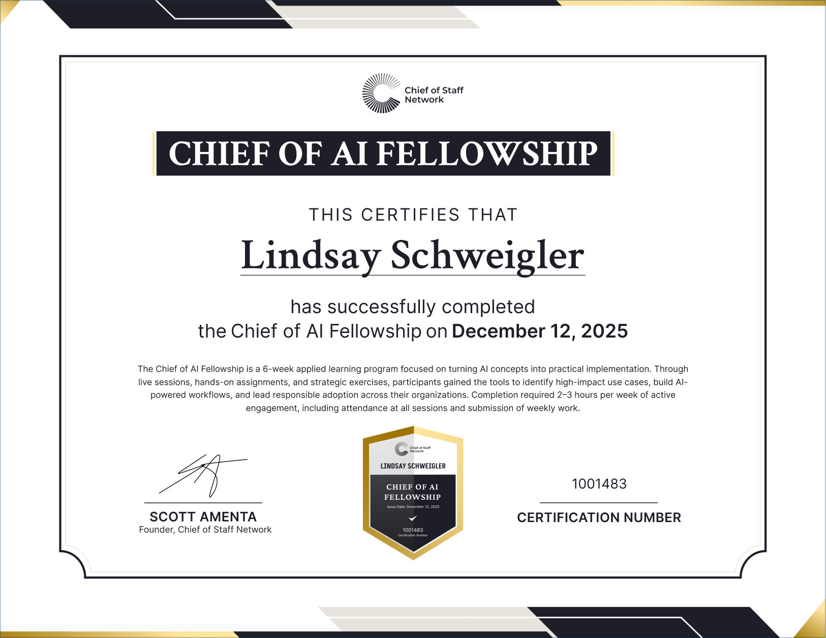 Chief of AI Fellowship (Lindsay Schweigler)