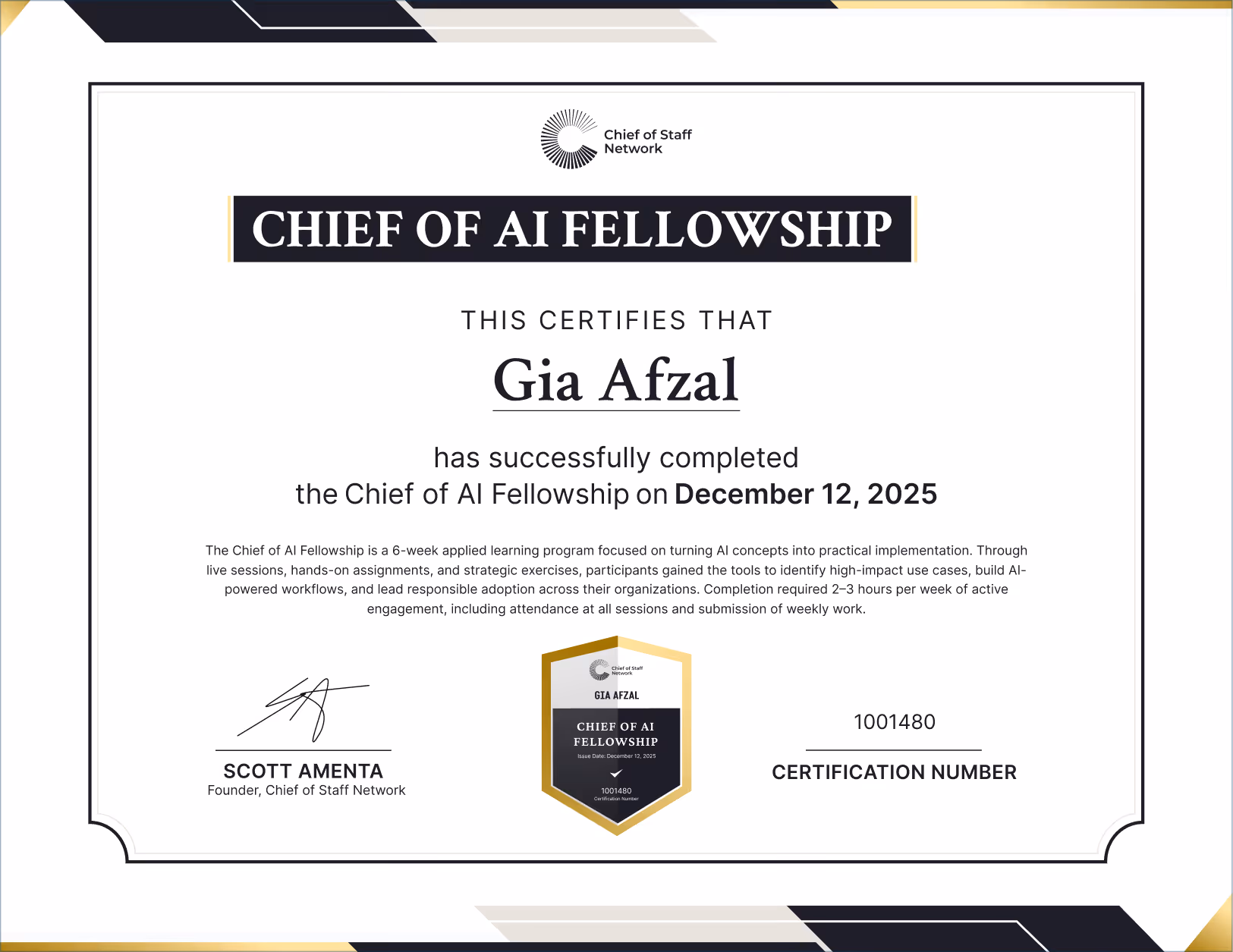 Chief of AI Fellowship (Gia Afzal)