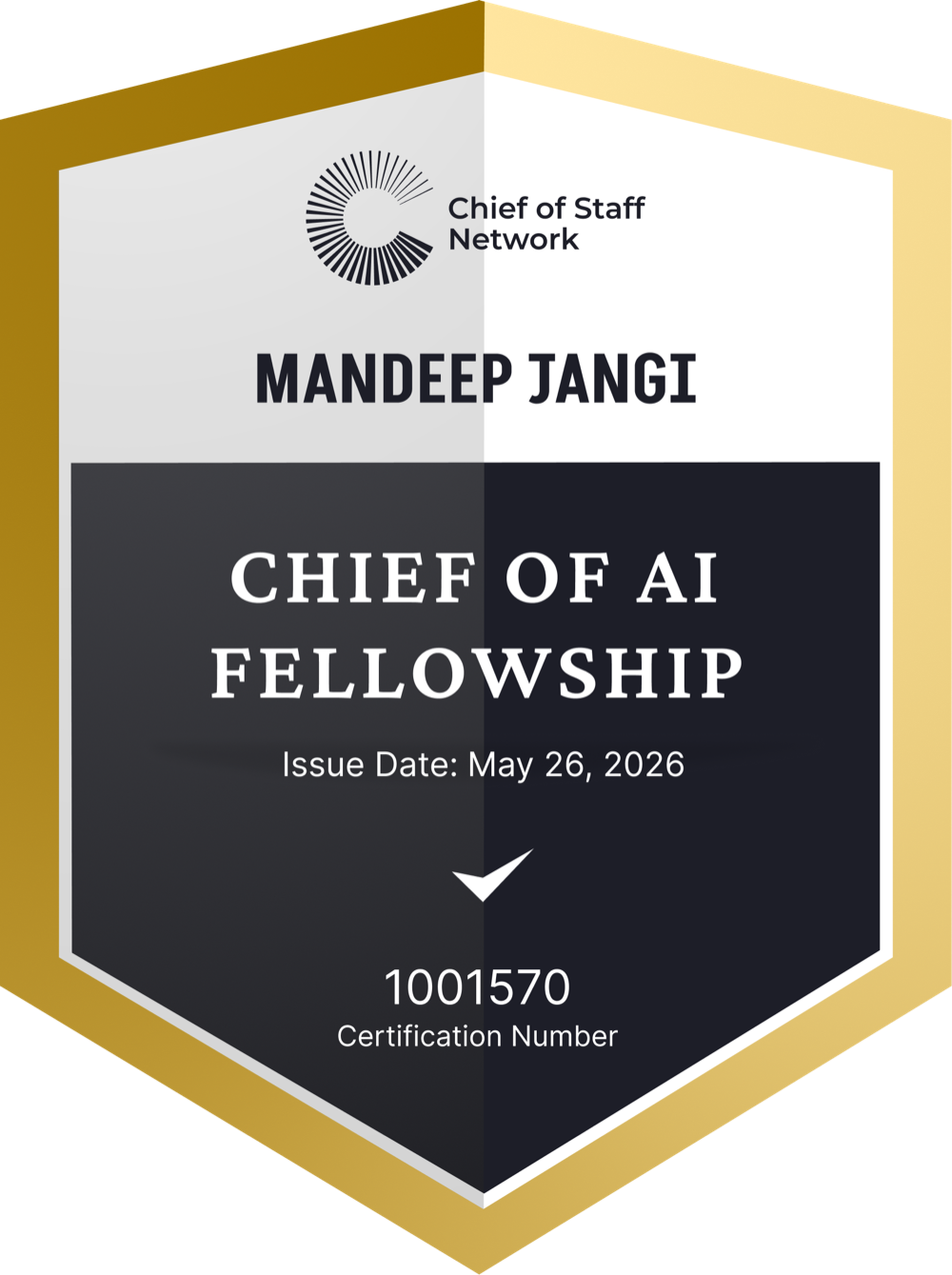 Chief of AI Fellowship (Mandeep Jangi)