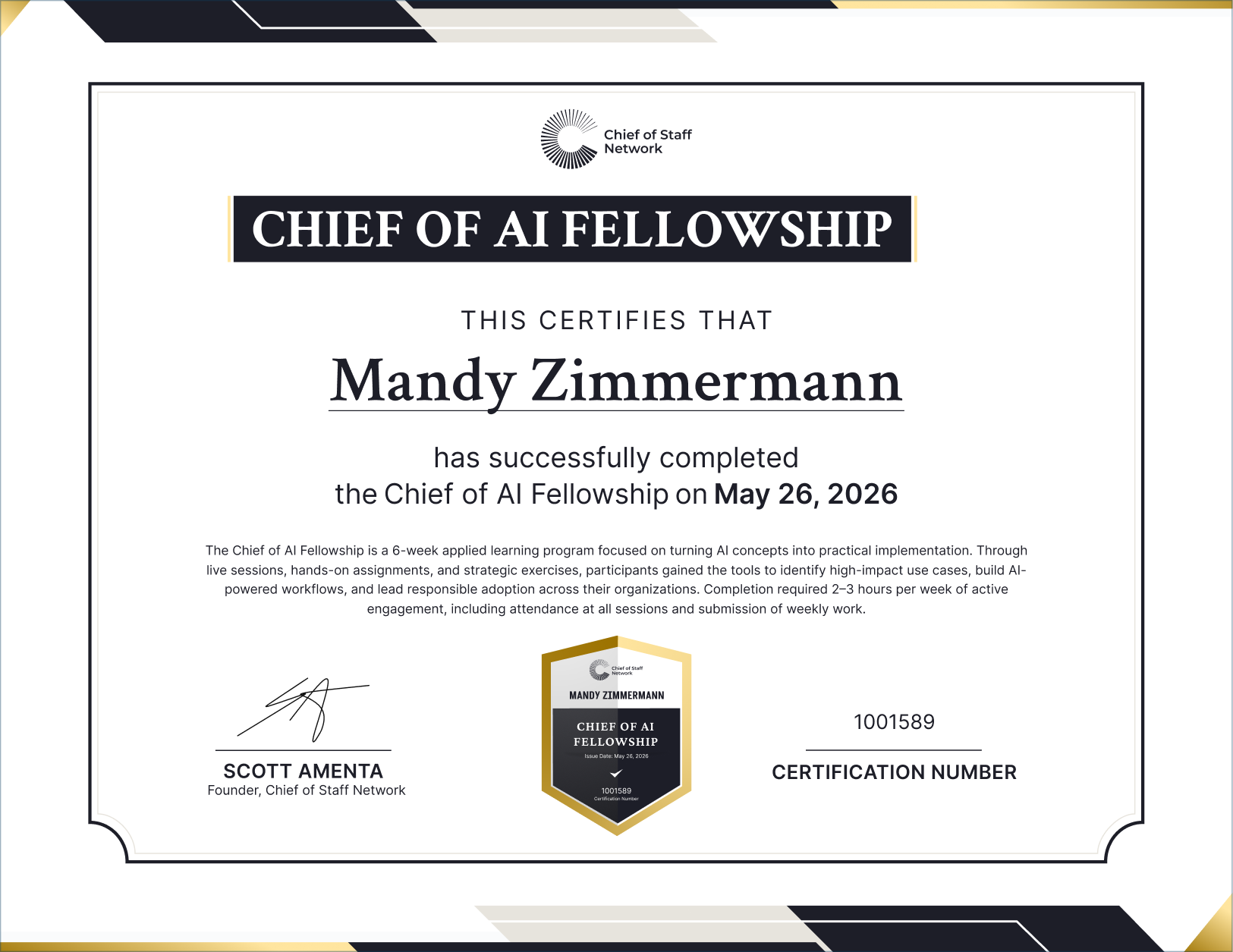 Chief of AI Fellowship (Mandy Zimmermann)