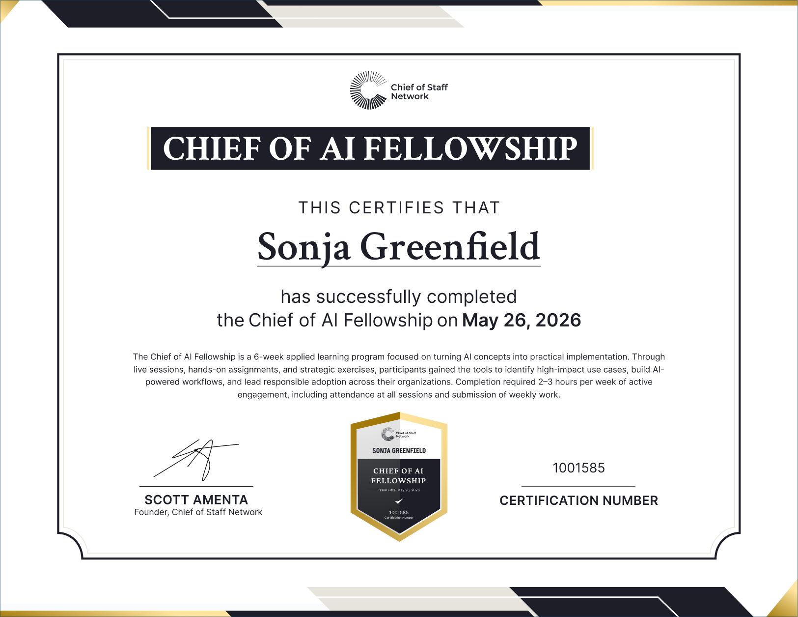 Chief of AI Fellowship (Sonja Greenfield)