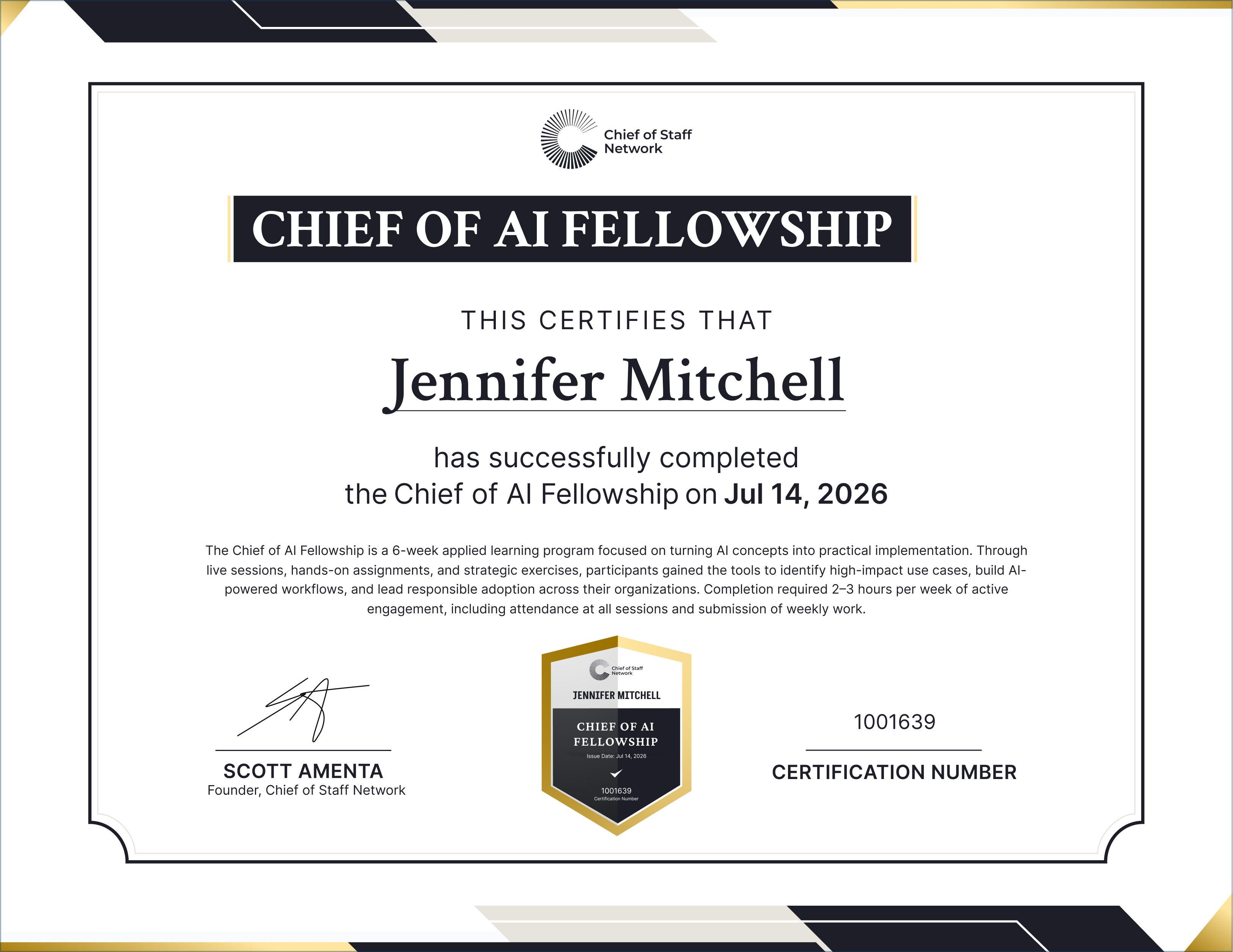 Chief of AI Fellowship (Jennifer Mitchell)