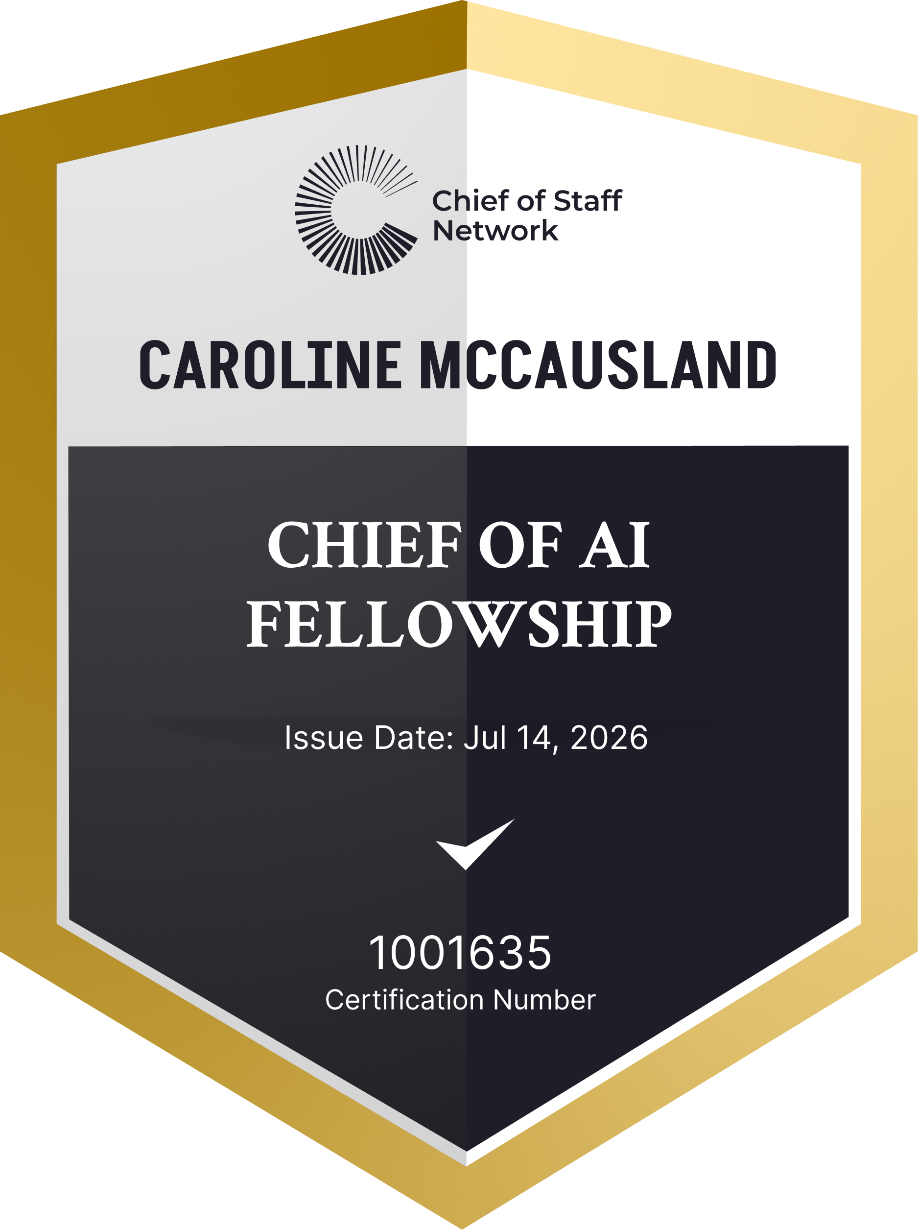 Chief of AI Fellowship (Caroline McCausland)