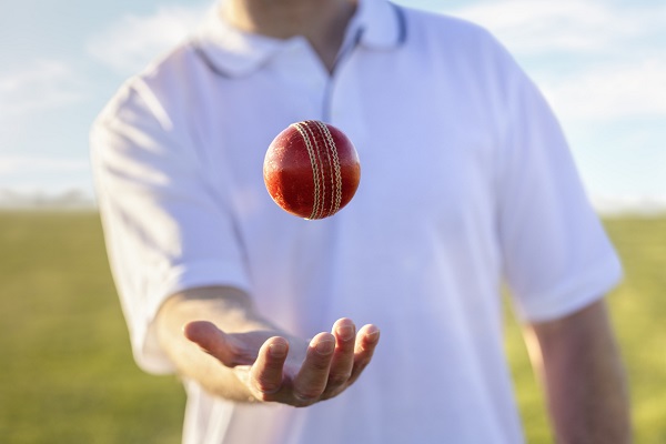 Cricket