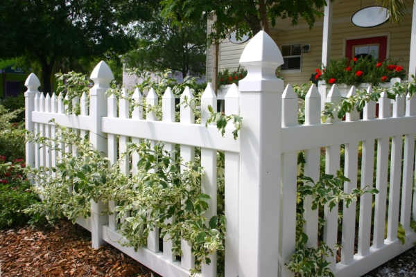 Which fence?