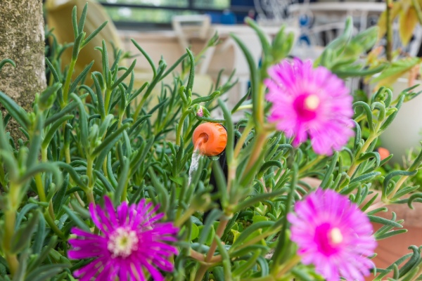 Win the war on weeds