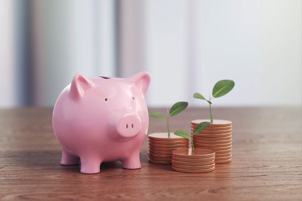 How to cut costs in the garden