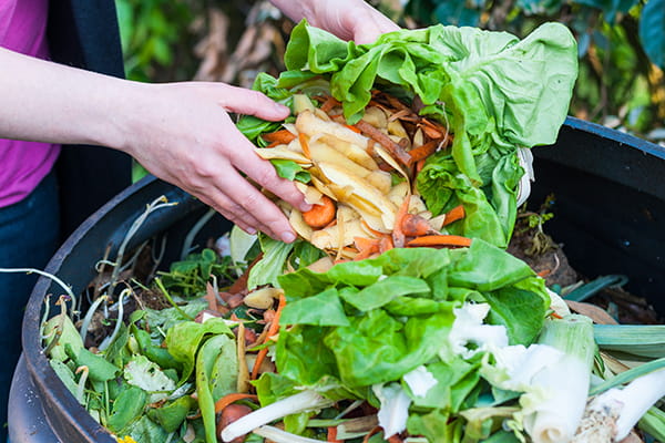 Composting Kitchen Waste