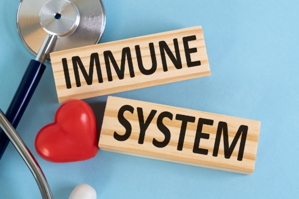 How to support your immune system