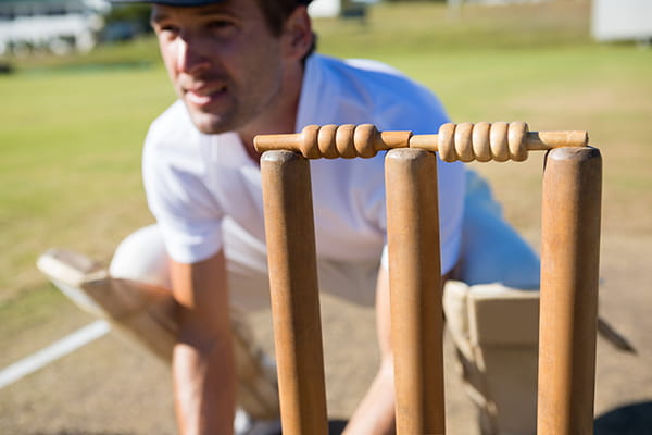 Cricket