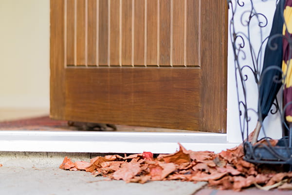 Internal door