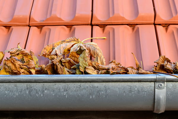 Gutters blocked with leaves
