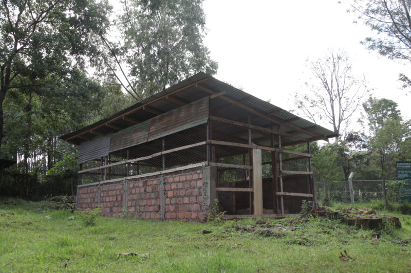 chicken house