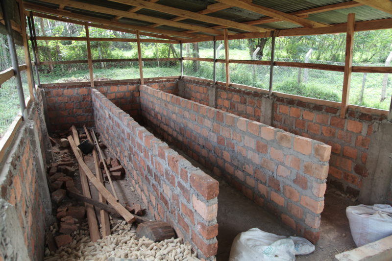 inside of the chicken house