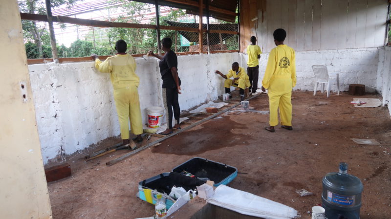 women painting the house chicken