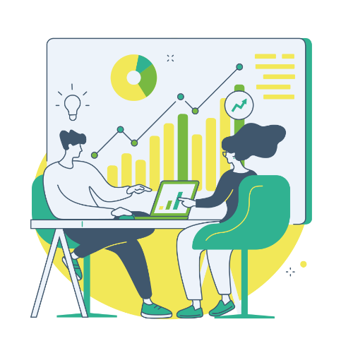 IT consultant expertise