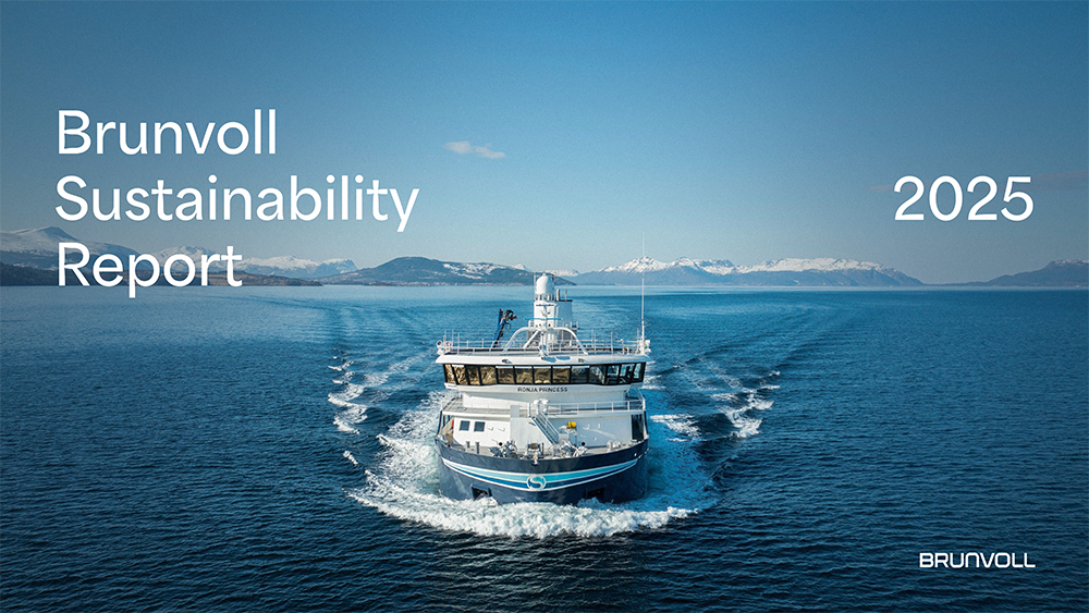 Sustainability Report 2025