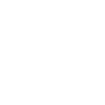 Twitter Icon