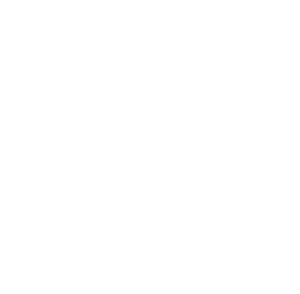 Photoshop Icon